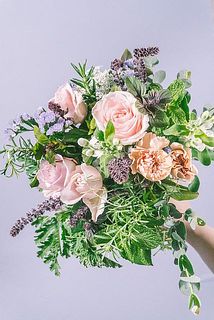 お届け例（内容は毎回異なります）