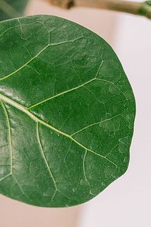 カルキ跡（水垢）ある場合がございます。気になる方は優しく拭き取ってくささい。