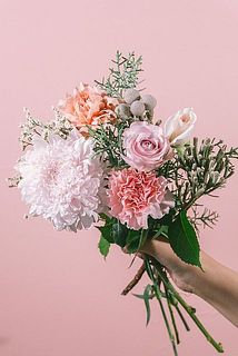 お届け例1（組み合わせは毎回異なります）