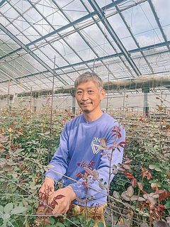 後藤裕さん。交配を行い、数々の素敵なバラを生み出してきました🧚‍♀️