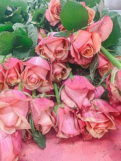 切り立てほやほやのヴィンテージ😍