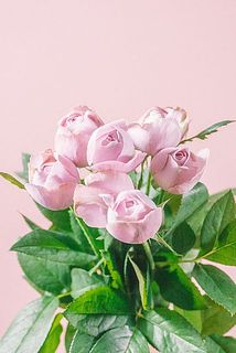 開花が楽しみ😊