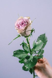 サイズや色味には個体差がございます。