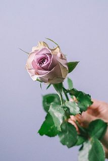 グラデーションが美しい✨