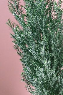 ラメが取れて手などにつく場合がございます。