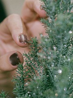 繊細なラメがきらり✨