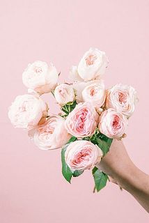 お届けイメージ