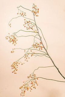 枝ぶりや大きさには個体差がござます。