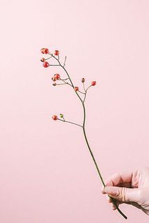 実つきには個体差がございます。