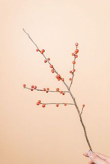 実つきには個体差がございます。