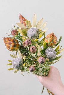 お届け時は閉じています。ドライにすると徐々に開きます！