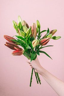 蕾の状態でお届けします