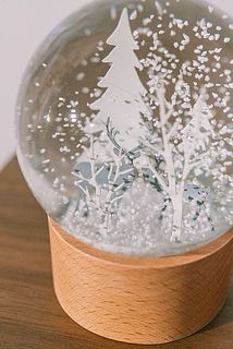 ホリデーシーズンのインテリアにぜひ🎅