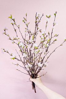 9〜10本お届けします🌸