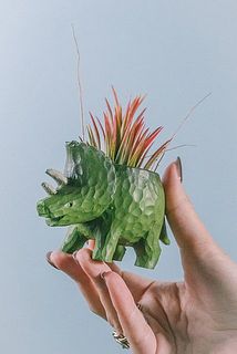 恐竜はひとつひとつ手作りなので、風合いが異なります。