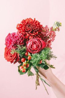 お届け一例（内容は毎回異なります）