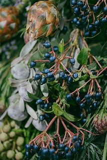 質感がかわいい😍つやつや、ごろごろがたっぷり💕