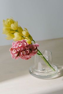 お届けイメージ。お届けする品種は毎回異なります。