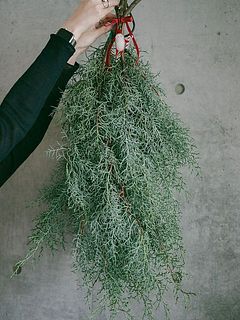 そのままスワッグにするのもおすすめ。