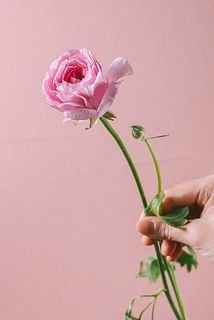 フリフリが可愛い🥰