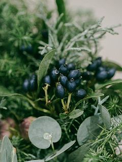 つやつやの実が可愛い✨