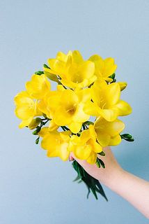 開花イメージ。