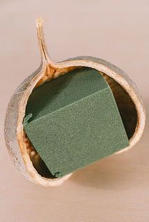 ブッダナッツにオアシスをセットします（付属の接着剤でくっつけておくと外れにくくなります）