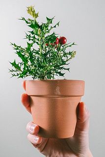 陶器に傷がついていることがございます。