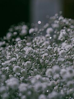 キラキラ美しい✨