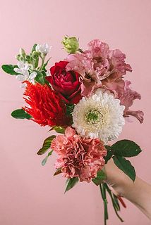 お届け一例（内容は毎回異なります）