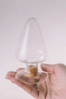 手乗りサイズがちょうどいい。