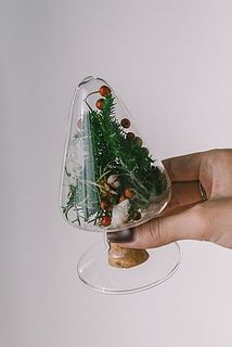 余った葉っぱや実ものを入れるだけでかわいいミニクリスマスツリーが完成🎄