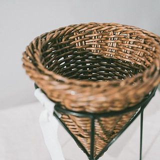 2.5号ほどの小さめのグリーンをご購入ください。ビニールポットのままはもちろん、麻布などをバスケットの内側に入れ、直接植えることも可能です。