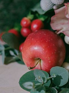 つやっとした赤いりんごがかわいい😍