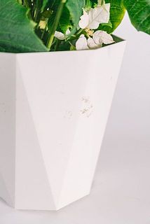 一部鉢に汚れがついている場合がございます。