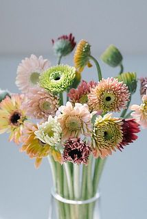 たっぷり20本お届けします。届いたらすぐに深水にいれて数時間水あげをしましょう。首が上を向くよう紙できゅっと巻いてから、茎が8割くらい浸かるイメージで。水あげしたあとは、浅水に活けて飾ってください。