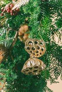 蓮の実は折れやすいため、箱から出す際はご注意ください。