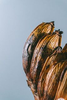 一部、傷がついている場合がございます。ご了承ください。