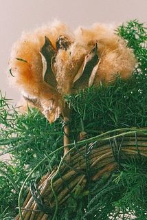 コットンの枝にワイヤーを巻きつけてリース上部に固定するとクマさんリース完成🐻✨