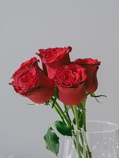 外側の花びらは傷がついていることも。気になる場合は優しく取ってあげてください。