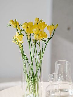 花器に飾ったイメージ。