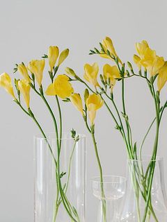 複数の花器に分けて飾っても🥰