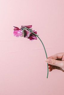 短めサイズでお届けします。