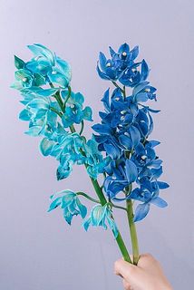 お届け例（色味の組み合わせはおまかせになります）