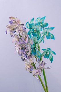 お届け例（色味の組み合わせはおまかせになります）