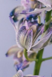 一部傷などある場合がございます。