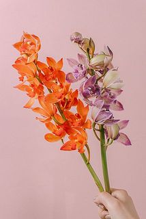 お届け例（色味の組み合わせはおまかせになります）