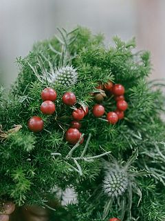 サンキライの実は一部茶色くなっているものもあります。気になる場合は切ってください。