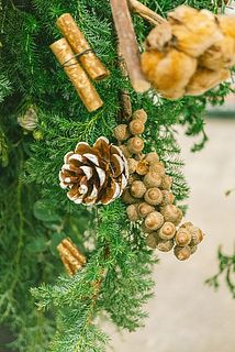 松ぼっくりやどんぐりも😍