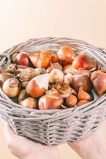 たーっぷり入ってお得！※バスケットは付属しません